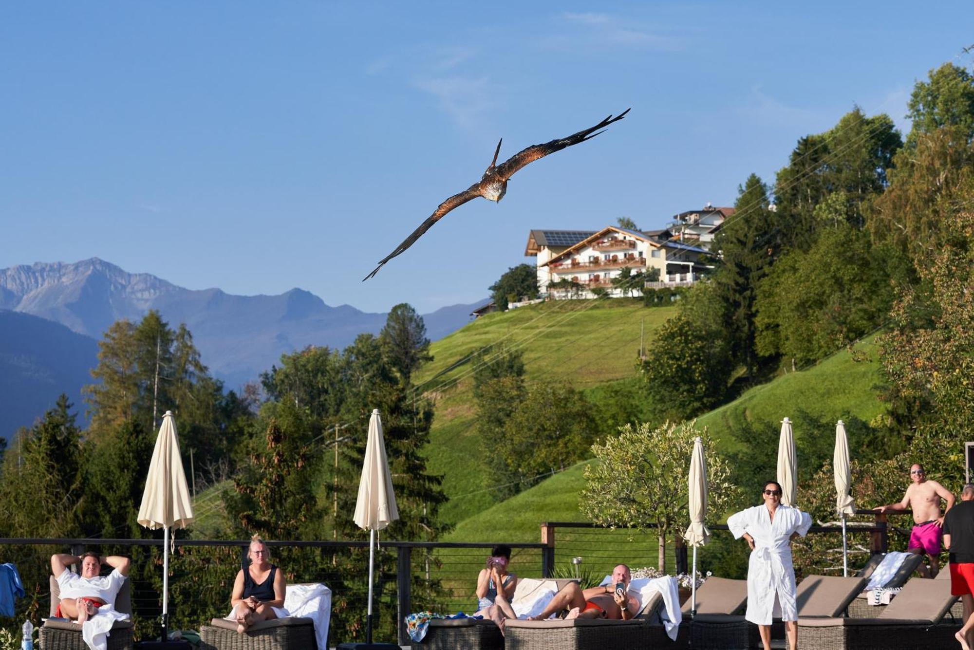 Hotel Panorama Schenna Dış mekan fotoğraf