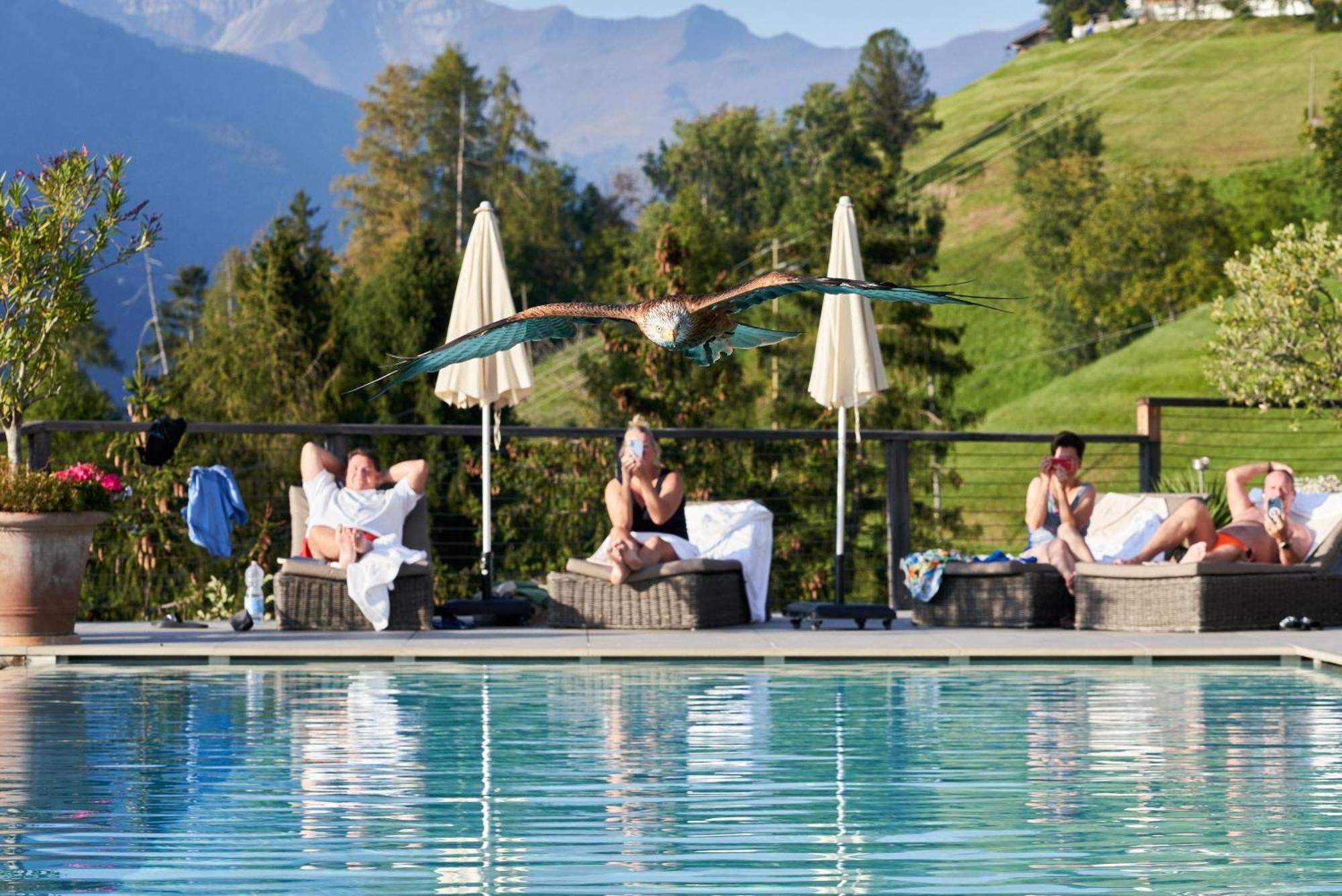 Hotel Panorama Schenna Dış mekan fotoğraf